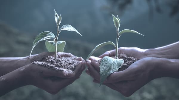 Carbon offset